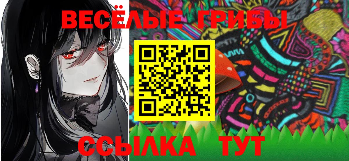 Галлюциногенные грибы мухоморы Аша