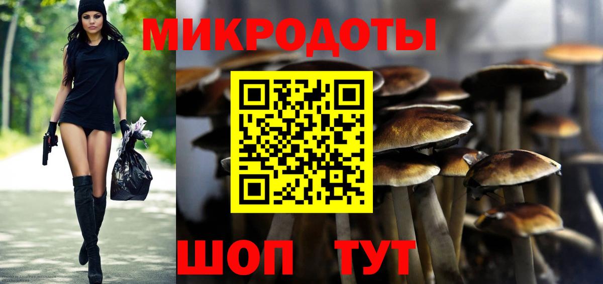 Псилоцибиновые грибы Psilocybine cubensis  Вход с VPN  где можно купить наркотик  Аша 