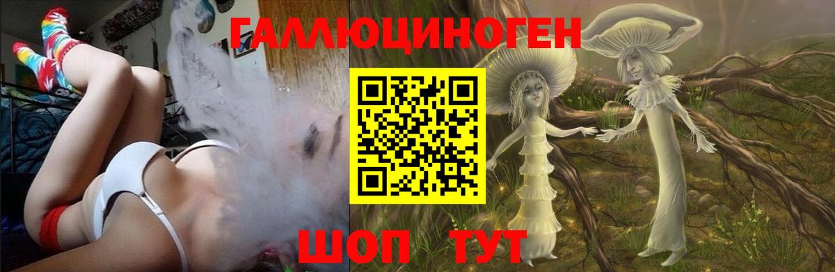 Бошки Шишки  МАРИХУАНА  Масло ТГК  Вход с VPN  Аша  МДМА  Мяу-Мяу  Плюхи  МЕФ  КОКАИН 